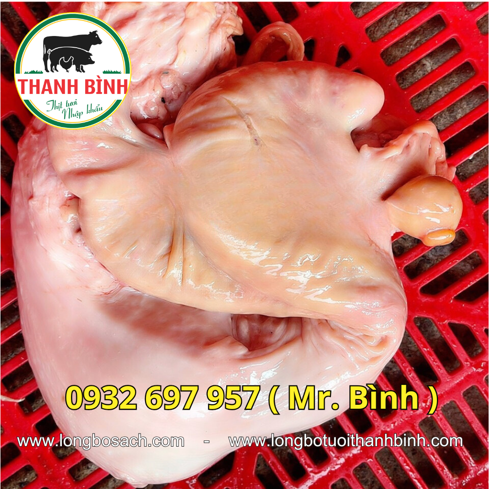Dồi trường bò