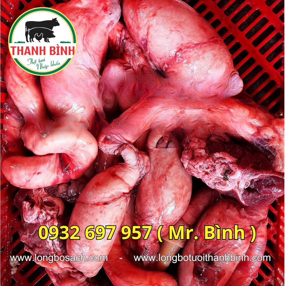 Sản phẩm bín bò của công ty Thanh Bình