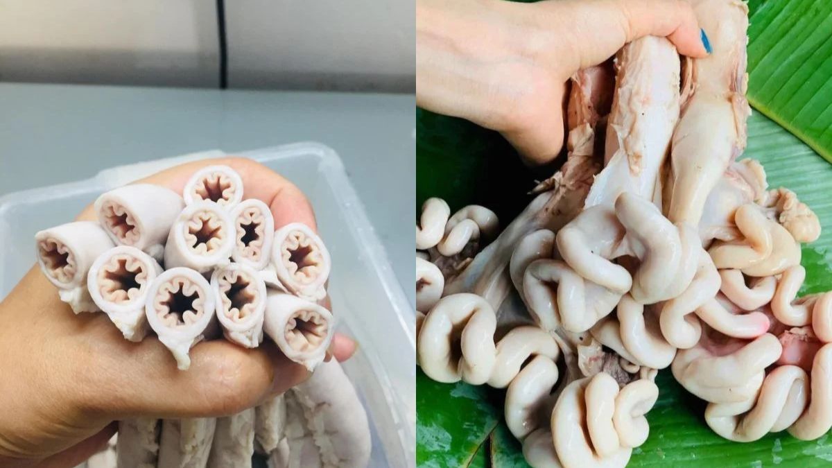 Dồi trường bò