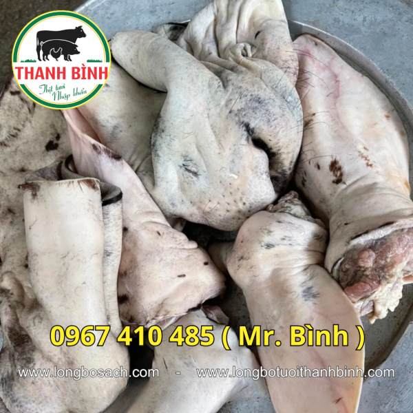 Tai Mũi Bò