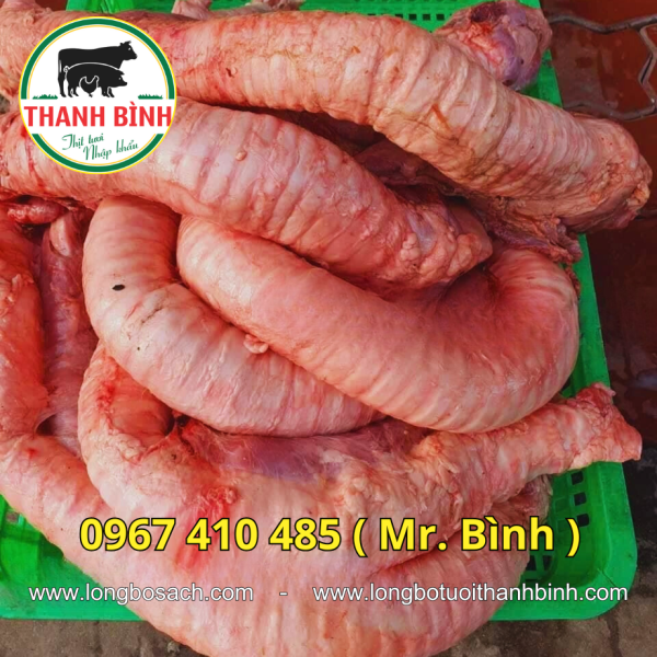 Cuống Họng Bò