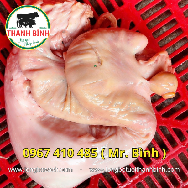 Dồi Trường