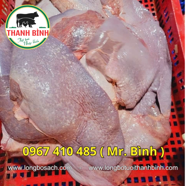 Phổi Bò