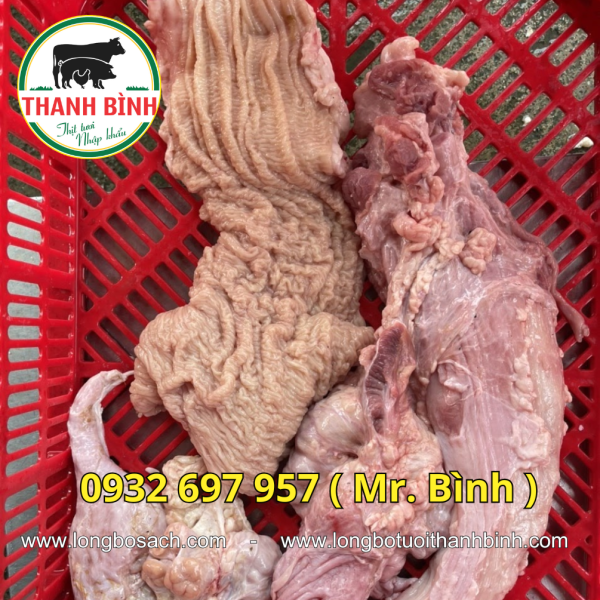 Thú Linh Bò Tươi